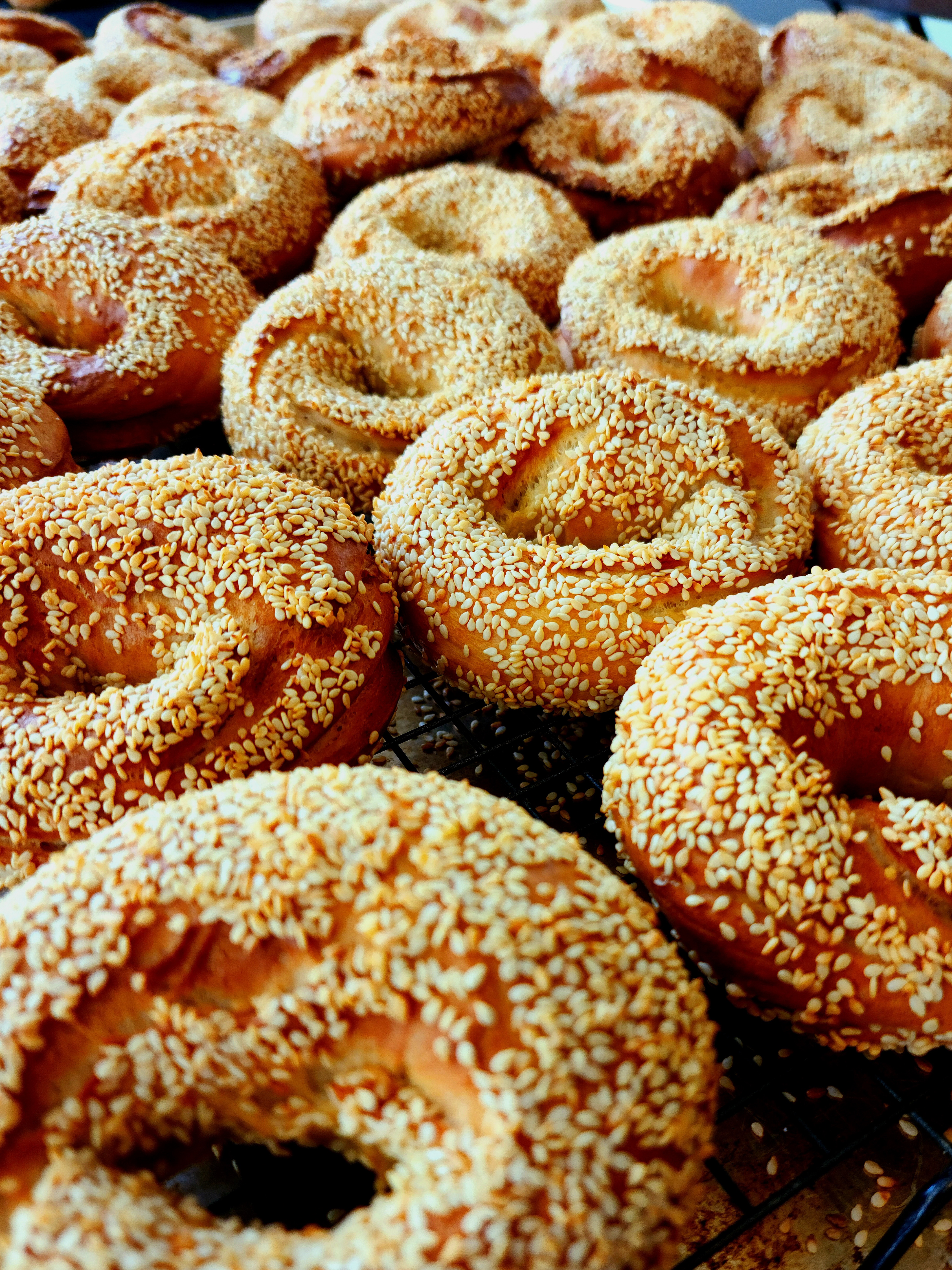Sesame Bagel