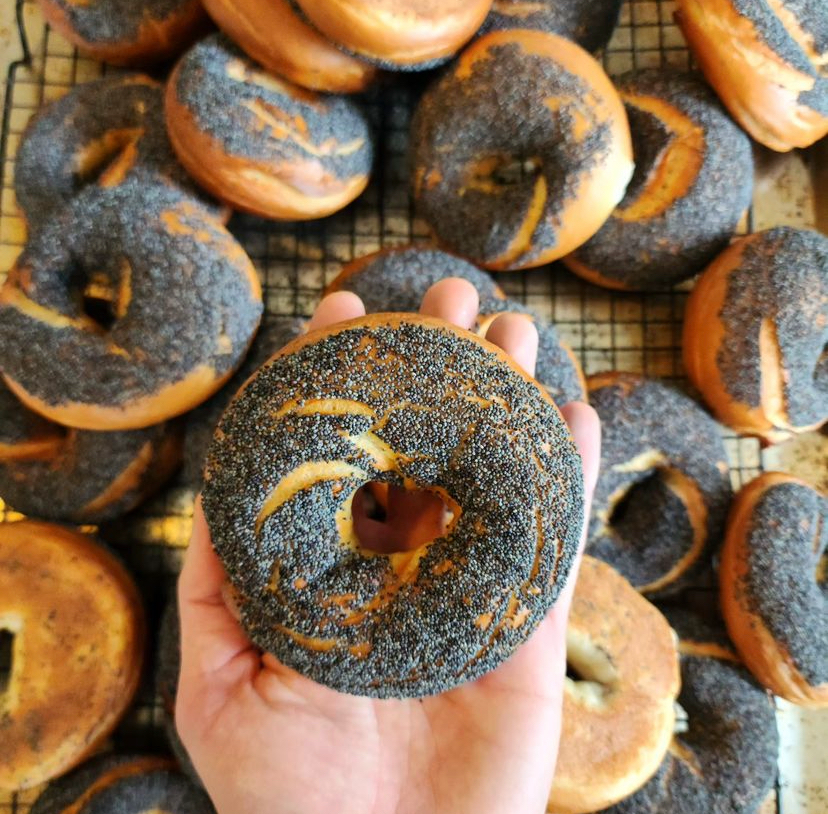 Poppy Seed Bagel